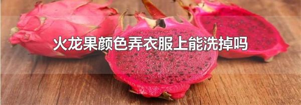火龙果颜色弄衣服上能洗掉吗