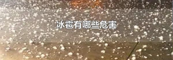冰雹有哪些危害