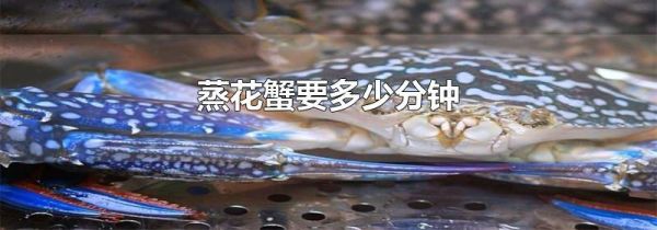 蒸花蟹要多少分钟