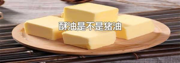 酥油是不是猪油
