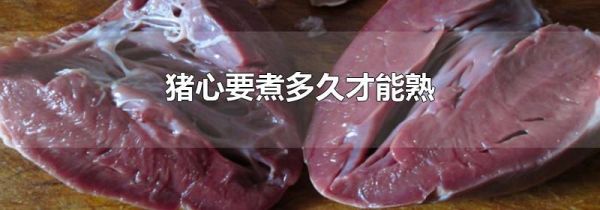猪心要煮多久才能熟