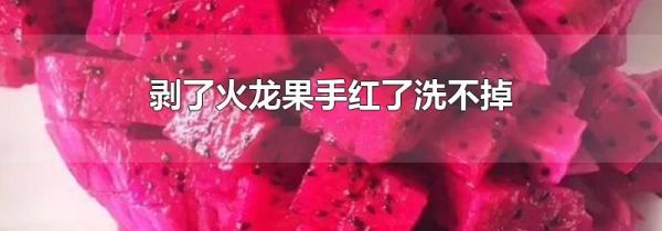剥了火龙果手红了洗不掉