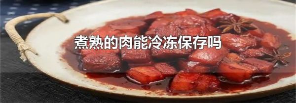 煮熟的肉能冷冻保存吗