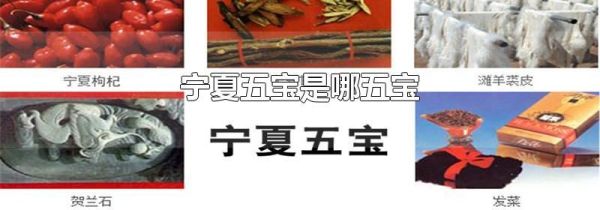 宁夏五宝是哪五宝