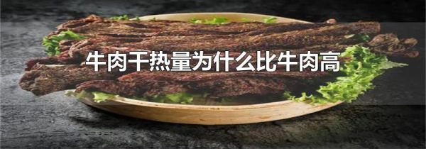 牛肉干热量为什么比牛肉高