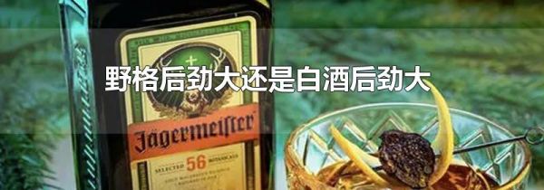 野格后劲大还是白酒后劲大