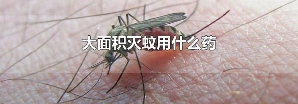 大面积灭蚊用什么药