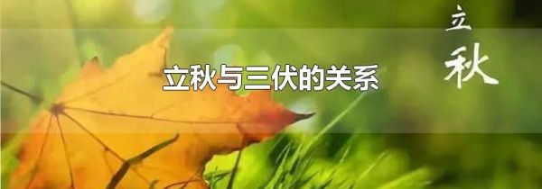 立秋与三伏的关系