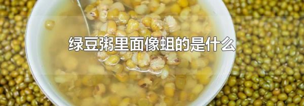 绿豆粥里面像蛆的是什么