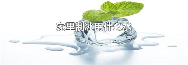 家里制冰用什么水
