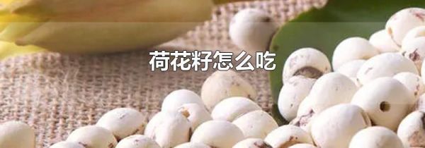 荷花籽怎么吃