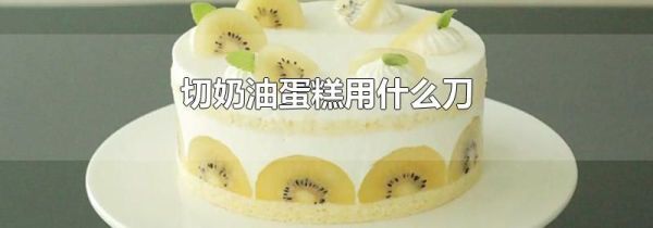 切奶油蛋糕用什么刀