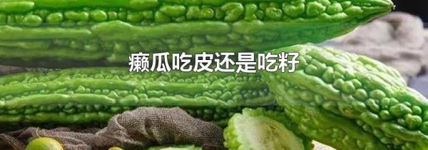 癞瓜吃皮还是吃籽