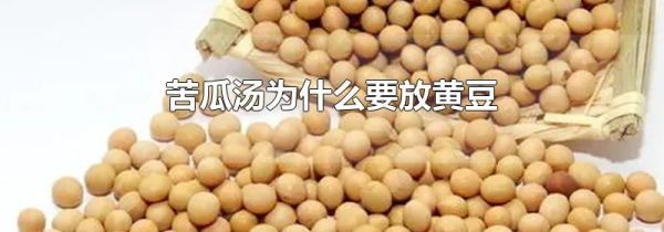 苦瓜汤为什么要放黄豆