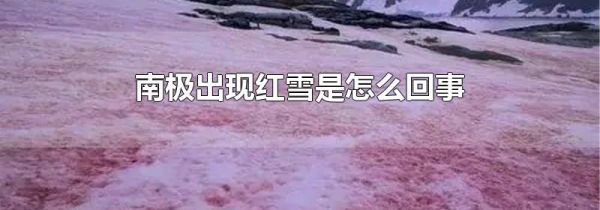 南极出现红雪是怎么回事