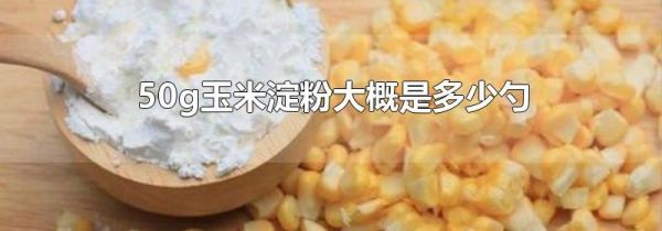 50g玉米淀粉大概是多少勺