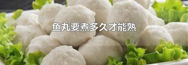 鱼丸要煮多久才能熟