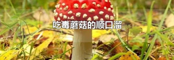 吃毒蘑菇的顺口溜