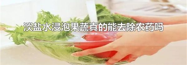 淡盐水浸泡果蔬真的能去除农药吗