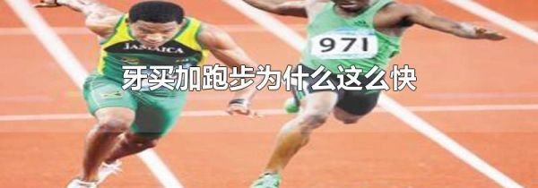 牙买加跑步为什么这么快