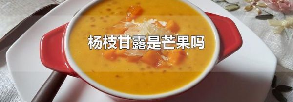 杨枝甘露是芒果吗