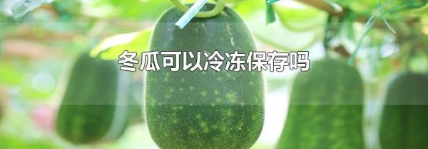 冬瓜可以冷冻保存吗