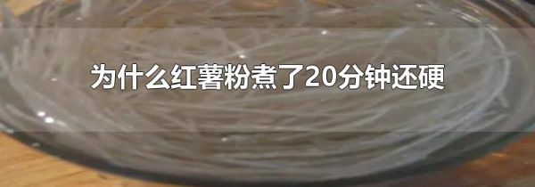 为什么红薯粉煮了20分钟还硬