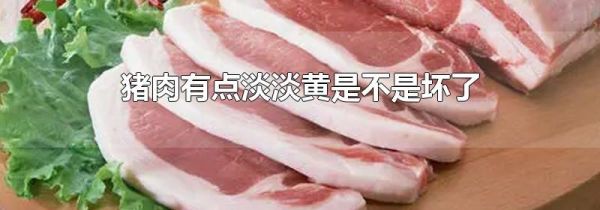 猪肉有点淡淡黄是不是坏了
