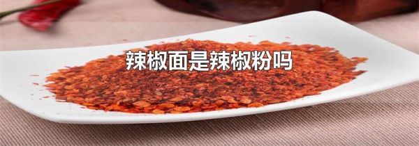 辣椒面是辣椒粉吗