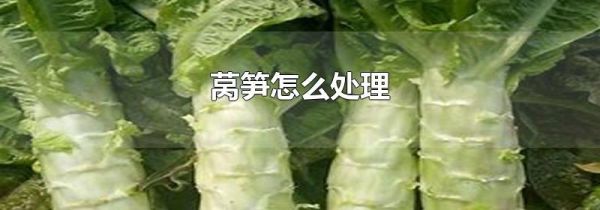 莴笋怎么处理