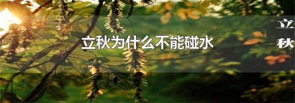 立秋为什么不能碰水
