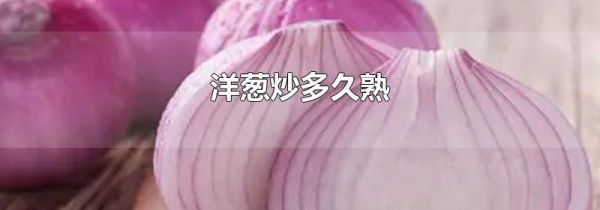 洋葱炒多久熟