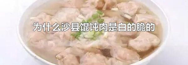 为什么沙县馄饨肉是白的脆的