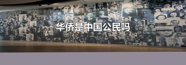 华侨是中国公民吗