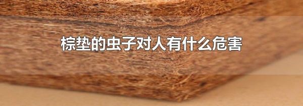 棕垫的虫子对人有什么危害