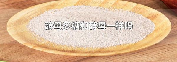 酵母多糖和酵母一样吗
