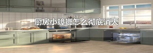 厨房小蟑螂怎么彻底消灭