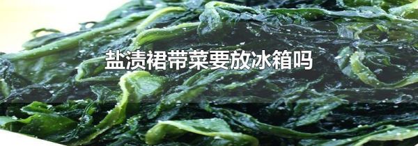 盐渍裙带菜要放冰箱吗