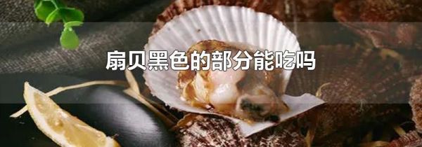 扇贝黑色的部分能吃吗