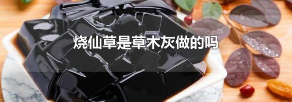 烧仙草是草木灰做的吗