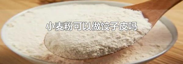 小麦粉可以做饺子皮吗