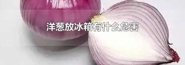 洋葱放冰箱有什么危害