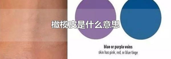 橄榄皮是什么意思