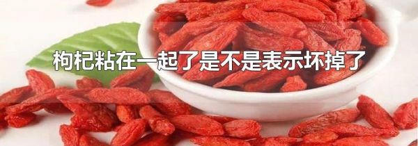 枸杞粘在一起了是不是表示坏掉了
