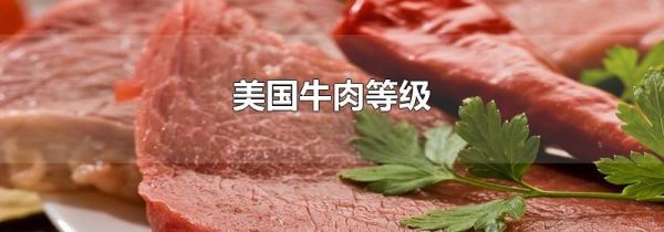 美国牛肉等级