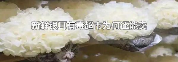 新鲜银耳有毒超市为何还能卖