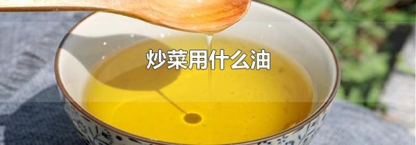 炒菜用什么油