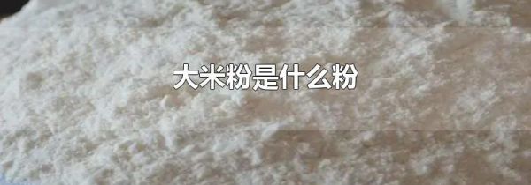 大米粉是什么粉