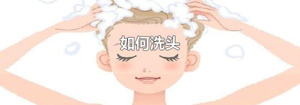 如何洗头