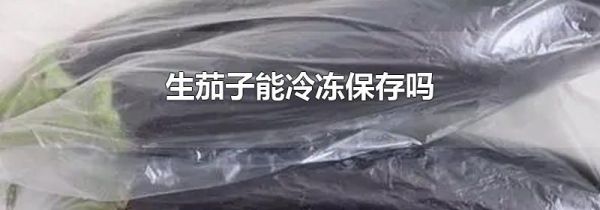 生茄子能冷冻保存吗